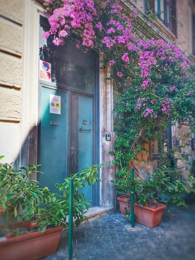 Trastevere Glasshouse روما المظهر الخارجي الصورة